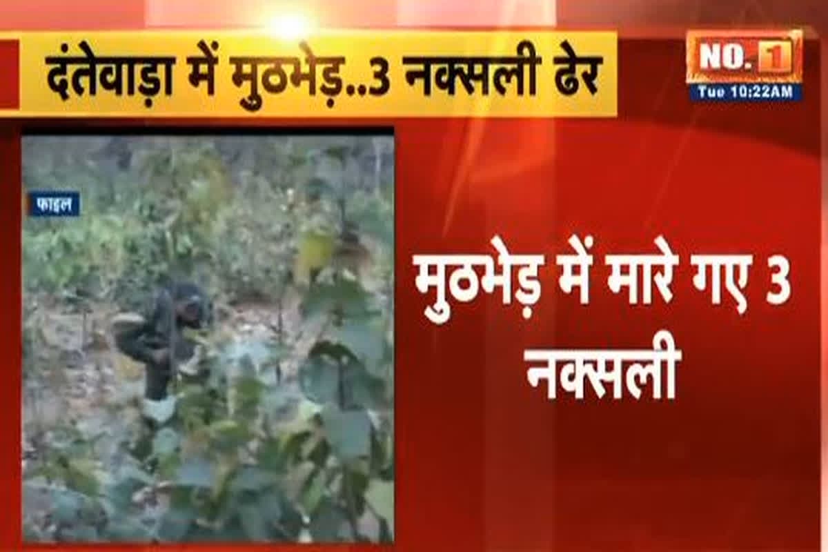 Naxal Encounter In Dantewada: जवानों और नक्सलियों के बीच हुई मुठभेड़, 3 नक्सलियों के शव बरामद, रुक-रूककर हो रही फायरिंग