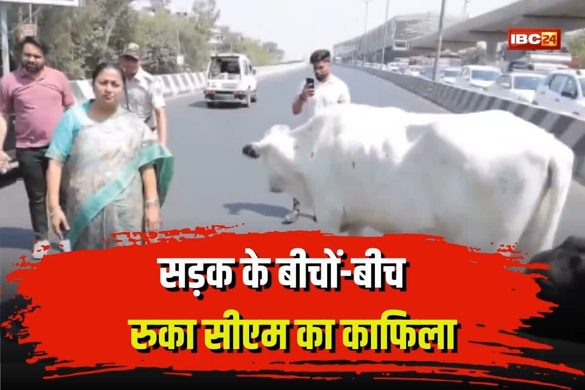 CM Rekha Gupta: सीएम के काफिले पर अचानक लगा ब्रेक, सड़क के बीचों बीच रुकी गाड़ी, जानिए फिर क्या हुआ