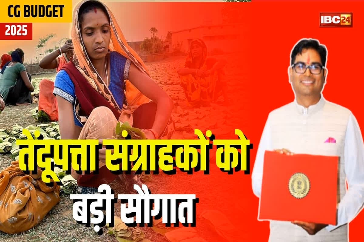 CG Budget Tendu Patta: तेंदूपत्ता संग्राहकों को साय सरकार की बड़ी सौगात, वित्त मंत्री चौधरी ने कर दिया ये बड़ा ऐलान
