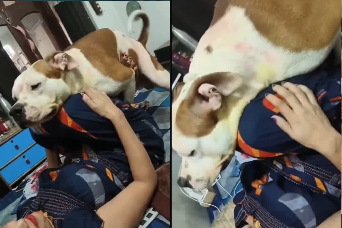 Desi Bhabhi Have Fun with Dog: देसी भाभी ने पालतू कुत्ते के साथ किया ऐसा काम, वीडियो देखकर झन्ना जाएगा दिमाग