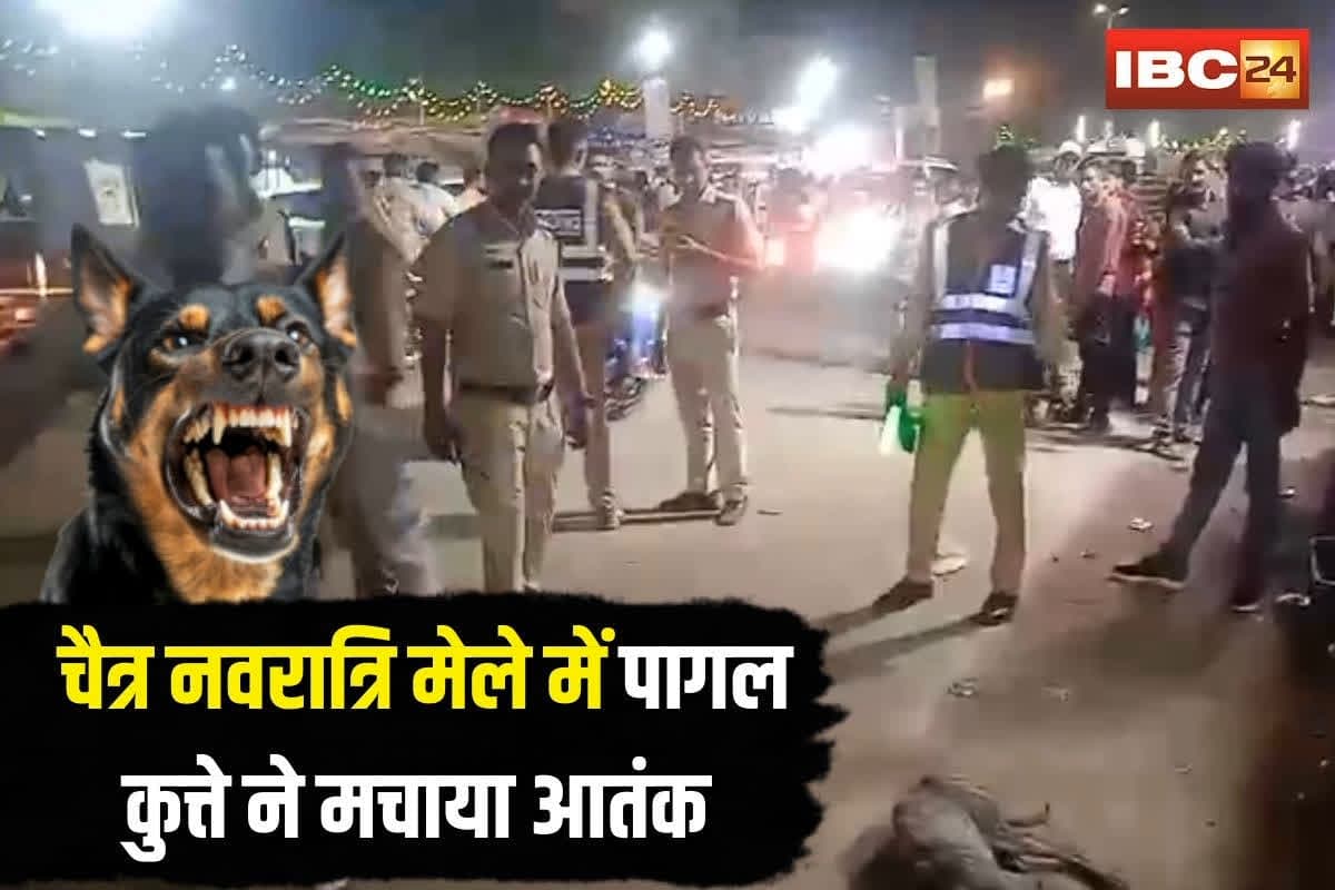 Dog Bite Shajapur: चैत्र नवरात्रि मेले में पागल कुत्ते ने मचाया आतंक, 6 से ज्यादा लोगों को काटा, अस्पताल में इलाज जारी