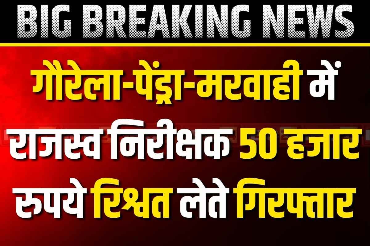 Chhattisgarh Bribe News: गौरेला का राजस्व निरीक्षक रिश्वत लेते रंगे हाथ गिरफ्तार.. बटांकन, सीमांकन और बेदखली के नाम पर 50 हजार की उगाही