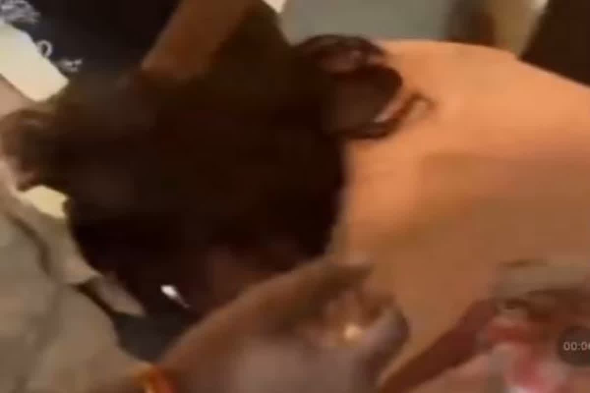 Girls Fighting Video Viral: दो युवतियों ने लड़की को पटक-पटककर पीटा, सोशल मीडिया पर तेजी से वायरल हो रहा वीडियो