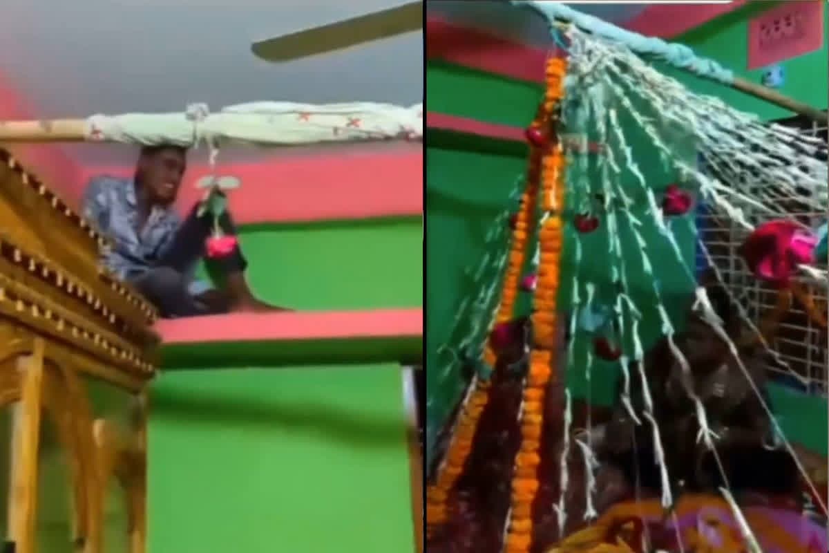Live Suhagrat Video: भैया-भाभी की लाइव सुहागरात देखने कमरे में जा छिपा देवर, चीख पड़ी दुल्हन जब पड़ी नजर
