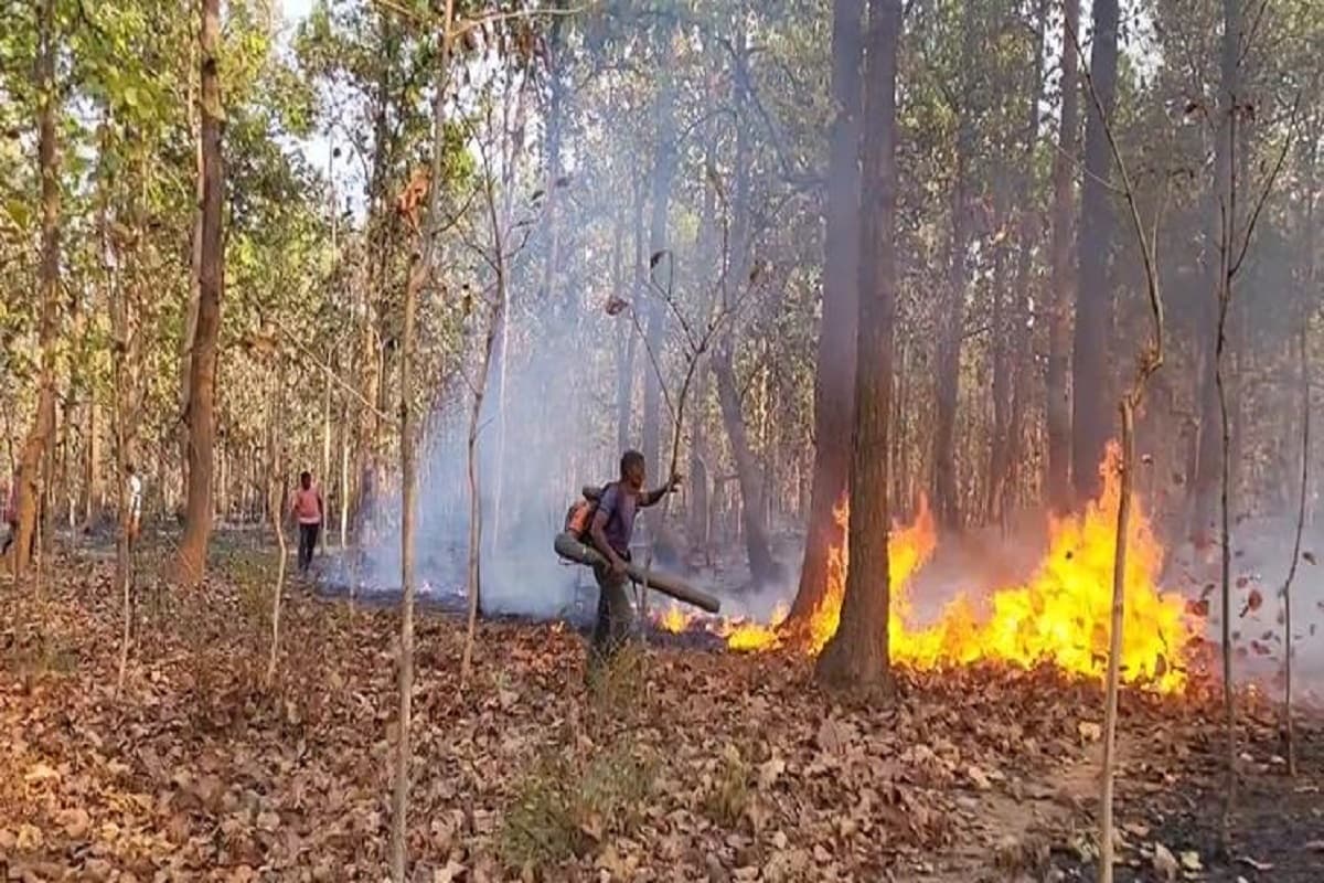 Fire in CG forest: छत्तीसगढ़ के इन जिलों के जंगलों में लगी भीषण आग, धू-धू कर जल रहे जंगल…देखें हैरान करने वाले वीडियो