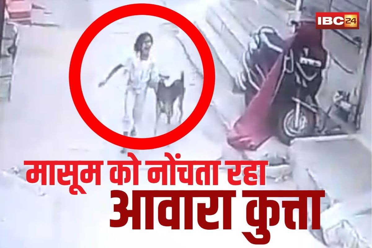 Dog Bites Live Video: घर के बाहर निकली मासूम… जानलेवा हमलाकर नोंचता रहा आवारा कुत्ता, वीडियो देख कांप जाएगी रूह