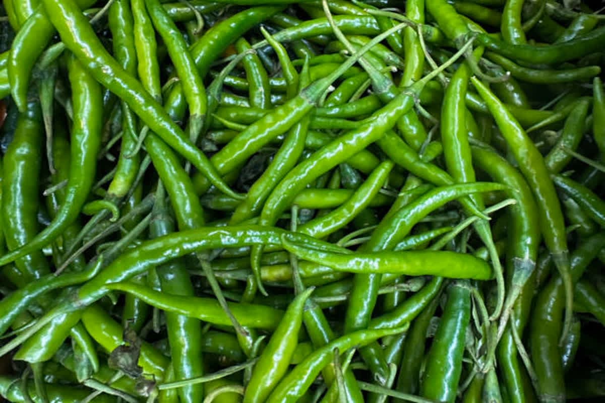 Green Chilli Benefits/ Image Credit: Pixabay