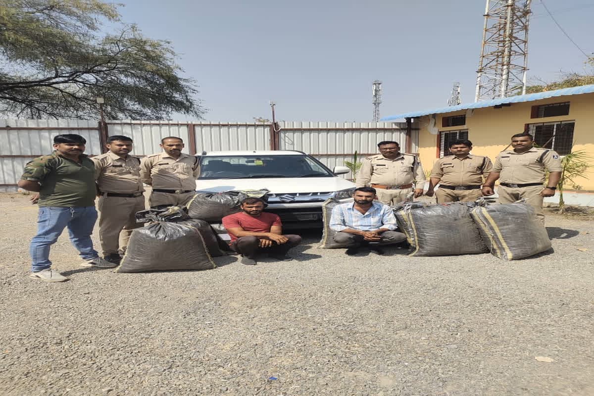 2 Smugglers Arrested In Neemuch: पुलिस को मिली बड़ी सफलता, 191 किलो डोडा चूरा के साथ दो तस्कर गिरफ्तार
