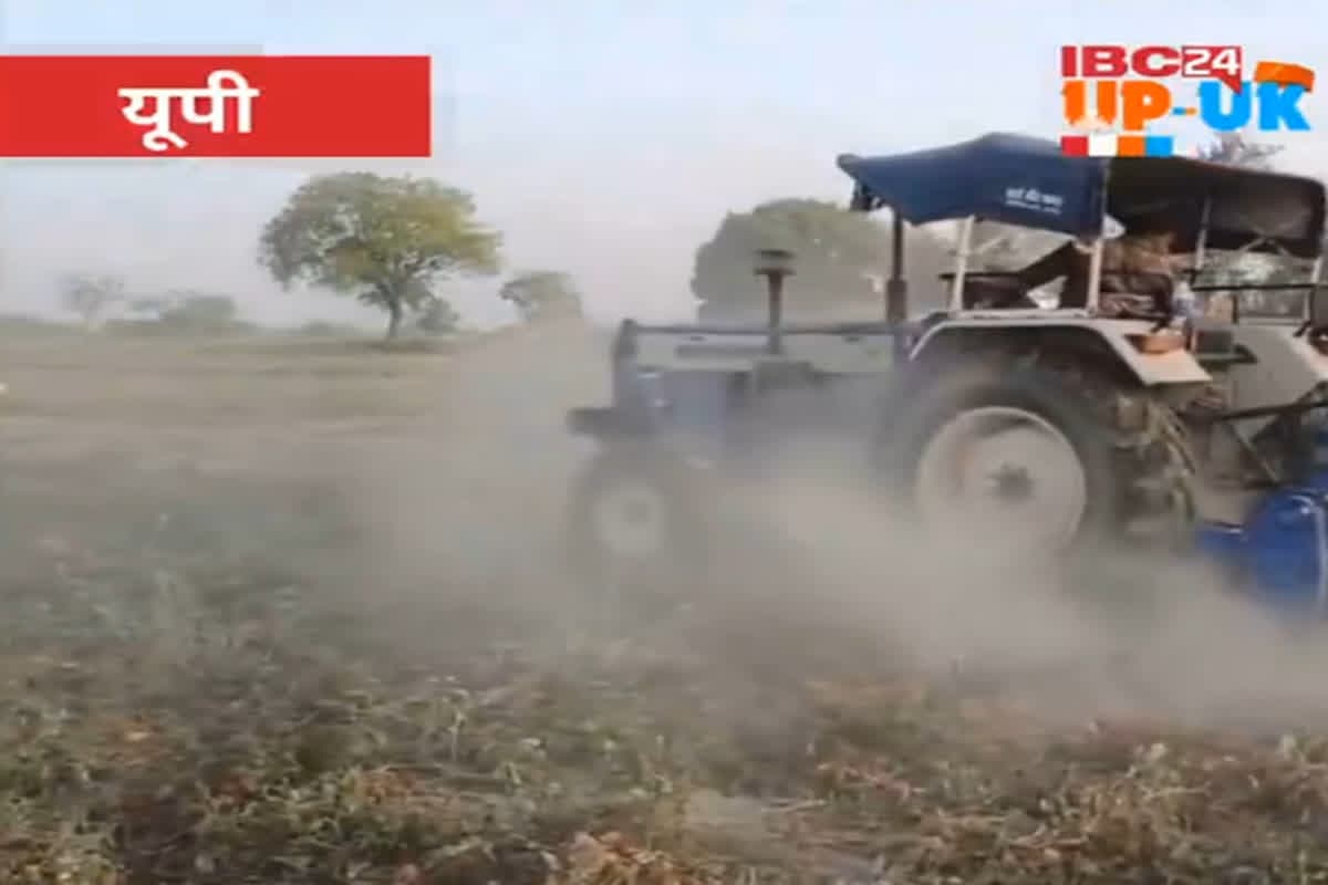 Tomato Prices Fell: किसानों को खून के आंसू रूला रहा टमाटर, गिरते भाव से लागत निकालना हुआ मुश्किल, फसलों पर चलाया ट्रैक्टर