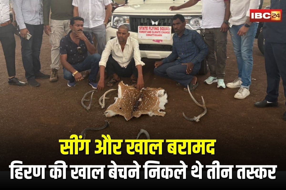 Raipur Crime News: हिरण की खाल बेचने निकले थे तीन तस्कर, राजधानी में वन विभाग ने रंगेहाथ दबोचा, सींग और खाल बरामद