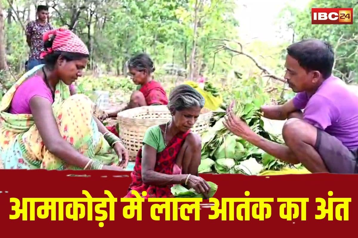 Mohla Manpur News: जहां पहले गूंजती थी बंदूकें, अब सुनाई देती है मेहनत की आवाज… आमाकोड़ो में लाल आतंक का अंत