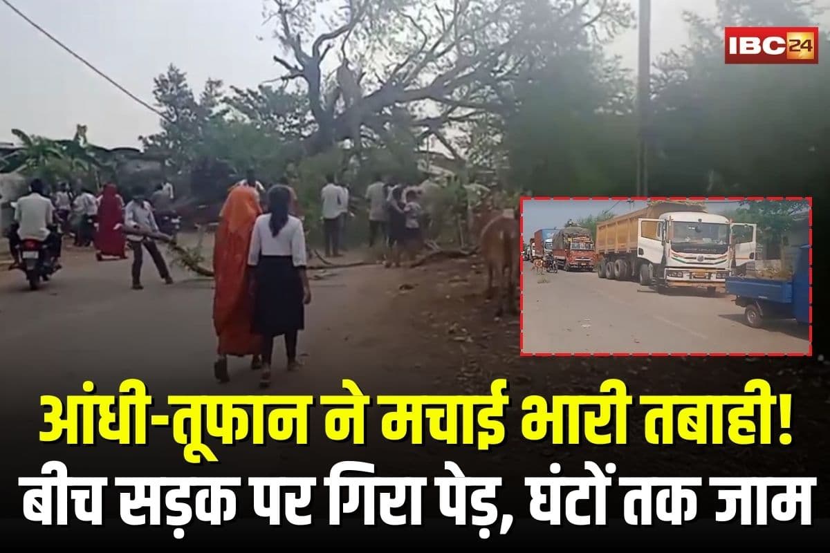 Kawardha News: आंधी-तूफान ने मचाई भारी तबाही! बीच सड़क पर गिरा पेड़, घंटों तक जाम में फंसे लोग, प्रशासन नदारद