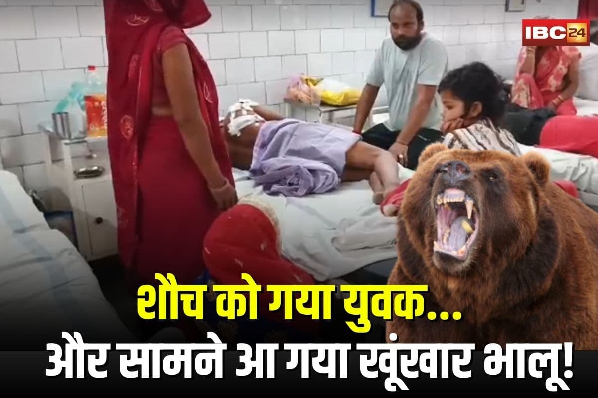 Panna Bear Attack News: शौच को गया युवक… और सामने आ गया खूंखार भालू! फिर जो हुआ वो रोंगटे खड़े कर देगा