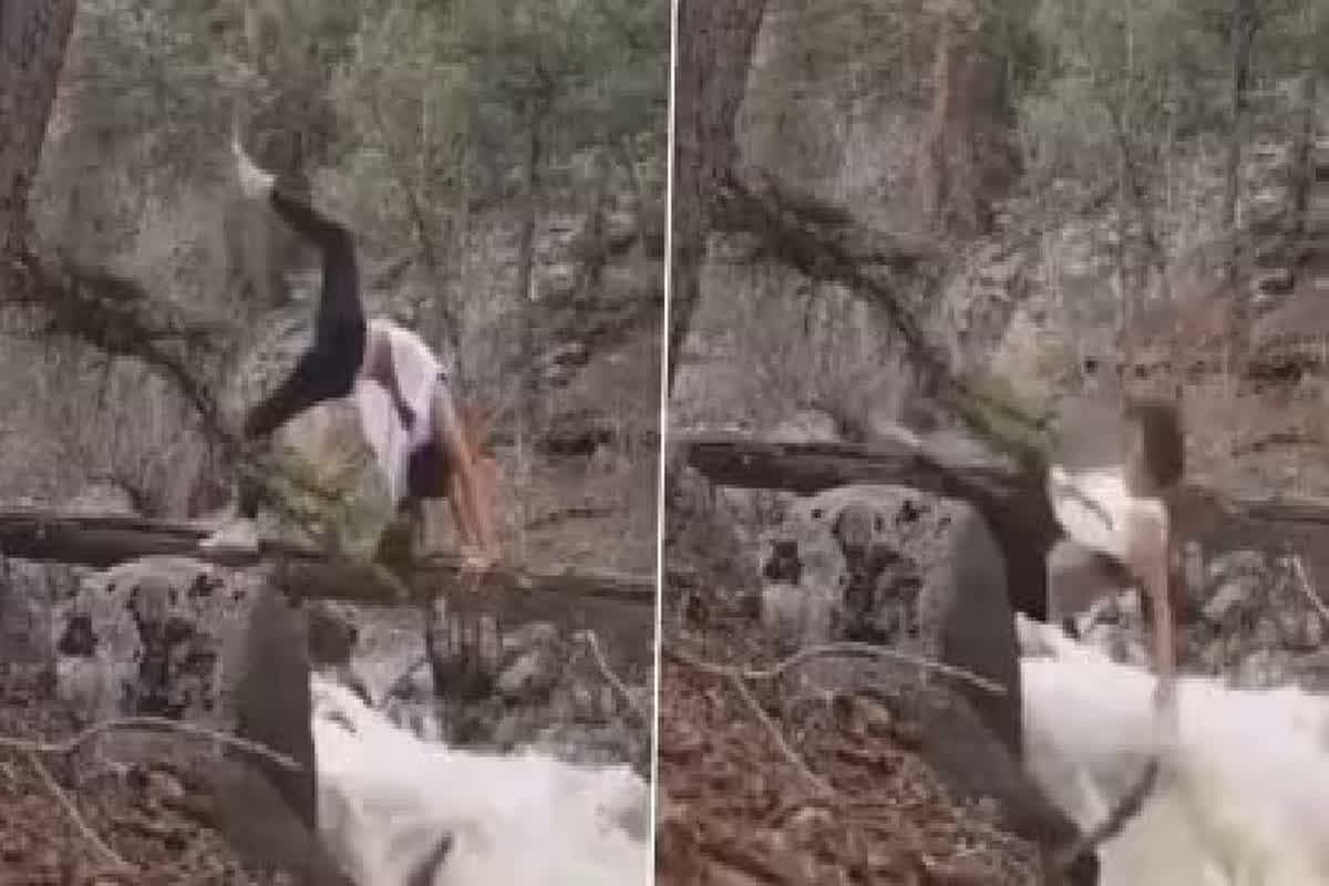 Girl Viral Video/ Image Credit: @Rupeshk14829210 X Handle