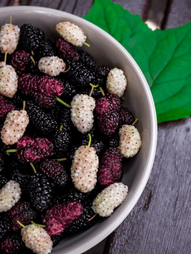Summer Season Fruits: गर्मियों में किसी जादुई दवा से कम नहीं छत्तीसगढ़ के ये फल