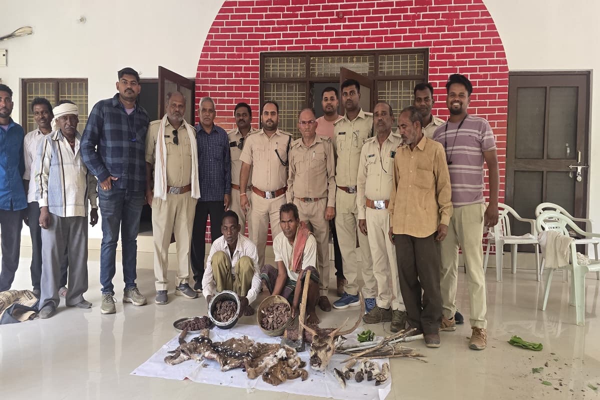 Jabalpur News: वन विभाग की ताबड़तोड़ कार्रवाई, चीतल का शिकार करने वाले तीन लोगों को दबोचा, हथियार भी बरामद