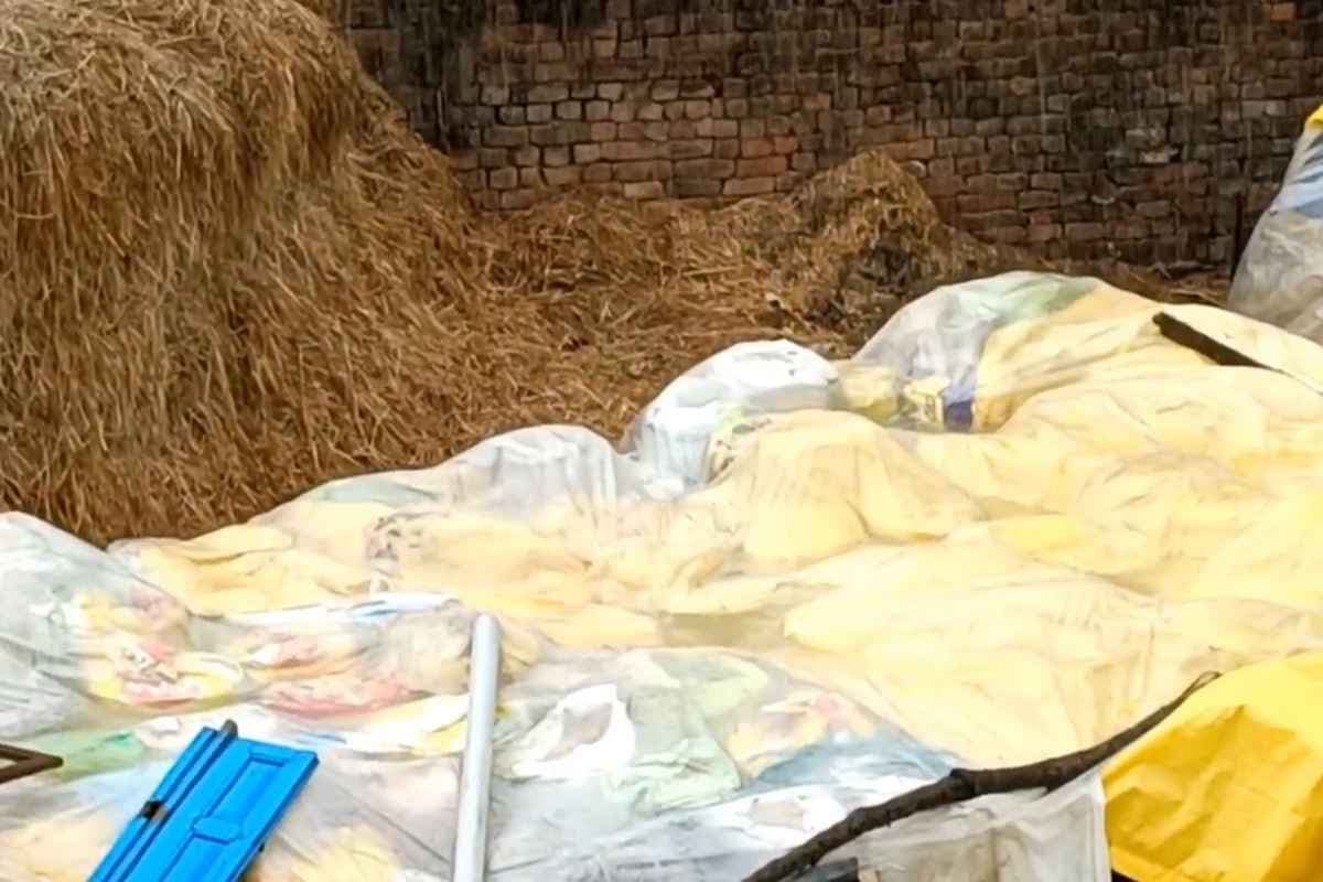 Mahasamund News: बेमौसम बारिश ने बढ़ाई किसानों की मुसीबत, पानी में डूबी पूरी फसल, अन्नदातों के माथे पर दिखी चिंता की लकीरें