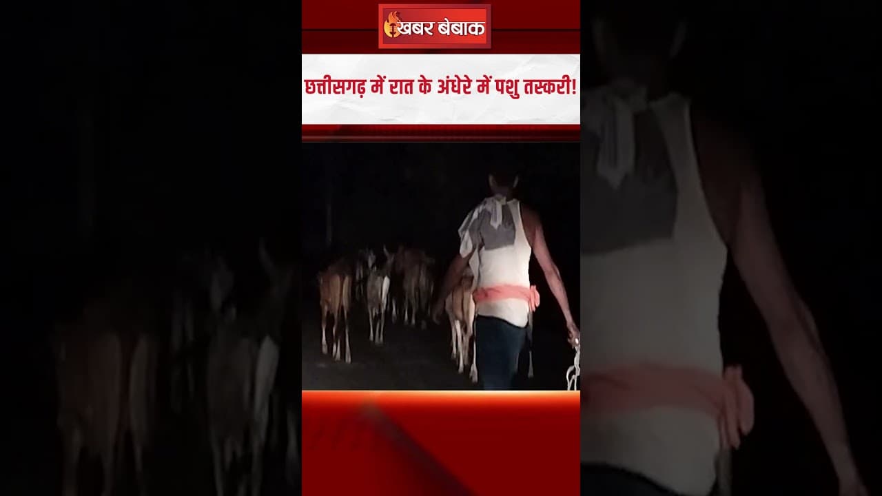 रात के अंधेरे में पशु तस्करी! पुलिस ने तस्करों से छुड़ाए 50 से ज्यादा मवेशी| Balrampur Cow Smuggling