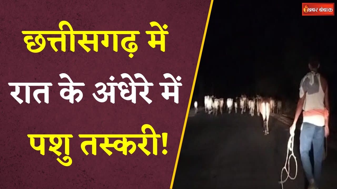 रात के अंधेरे में पशु तस्करी! पुलिस ने तस्करों से छुड़ाए 50 से ज्यादा मवेशी| Balrampur Cow Smuggling