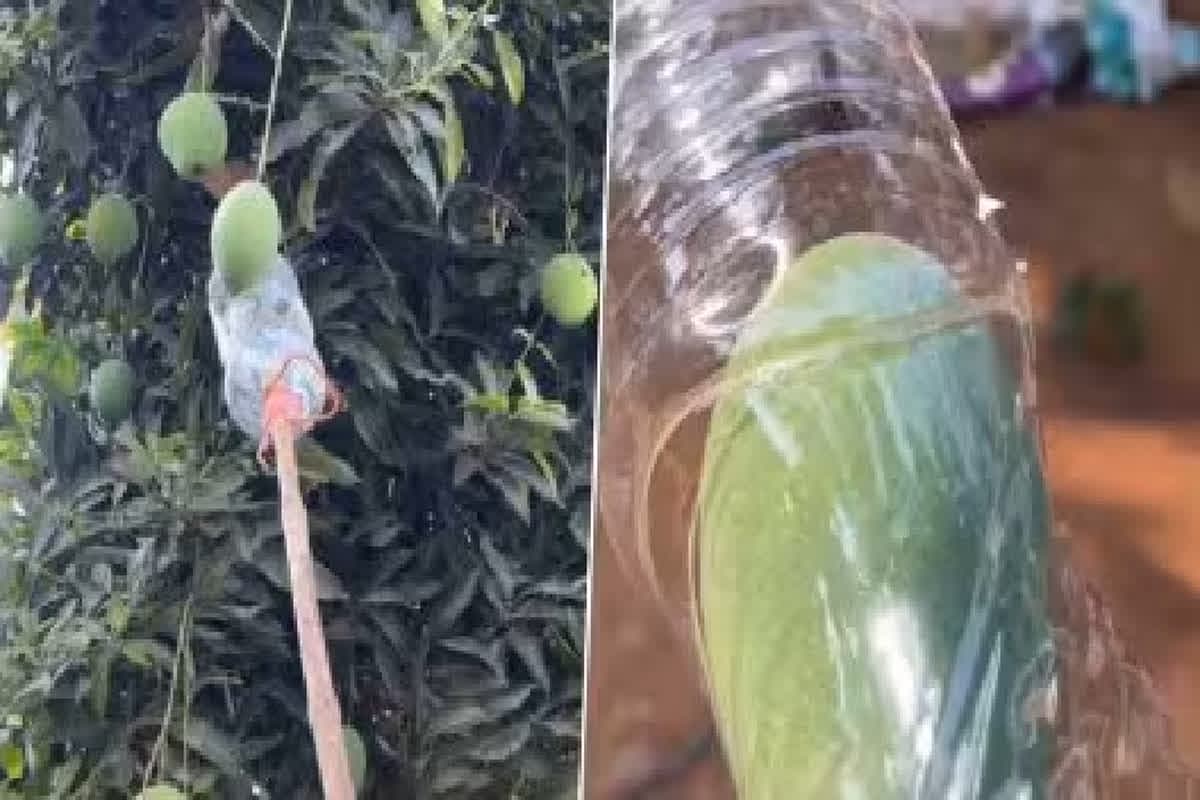 Desi Jugaad Viral Video/ Image Credit: prameelafoodforever Instagram