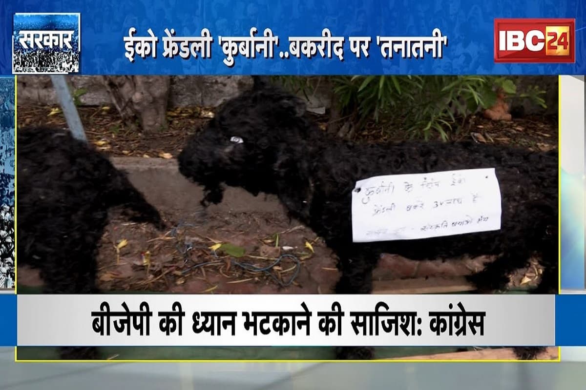 #SarkarOnIBC24: ईको फ्रेंडली ‘कुर्बानी’.. बकरीद पर ‘तनातनी’! तैयार किए गए मिट्टी से बने बकरे, जानिए इस पर आखिर क्यों छिड़ा है सियासी घमासान?