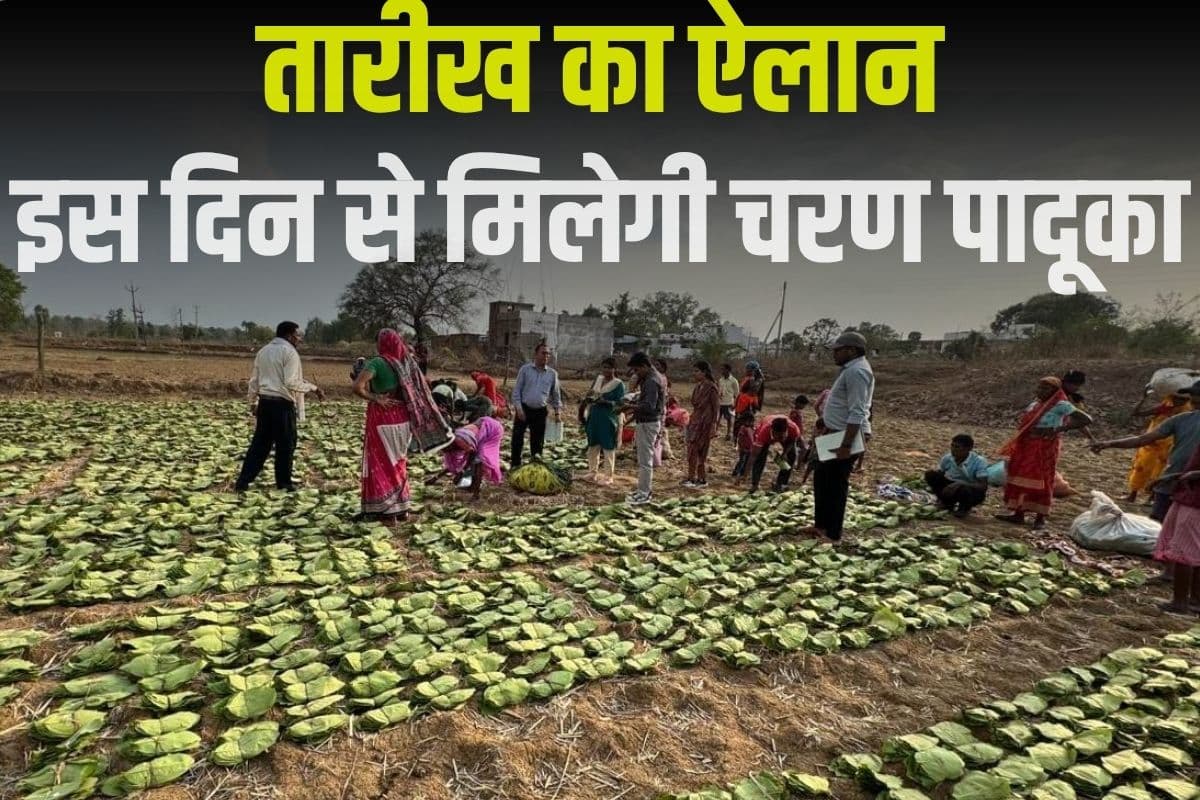 Charan Paduka Yojana: तेंदूपत्ता संग्राहकों के लिए खुशखबरी, इस दिन से प्रदेश शुरू होगी चरण पादुका योजना, इतने लाख परिवारों को मिलेगा लाभ