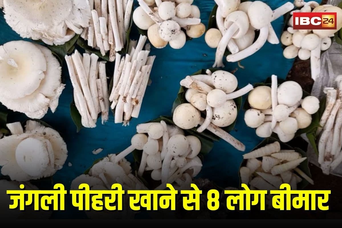 Jungle Mushroom Poisoning: जंगली पीहरी खाई और बिगड़ गई तबीयत, 8 आदिवासी बीमार, एक महिला की हालत गंभीर