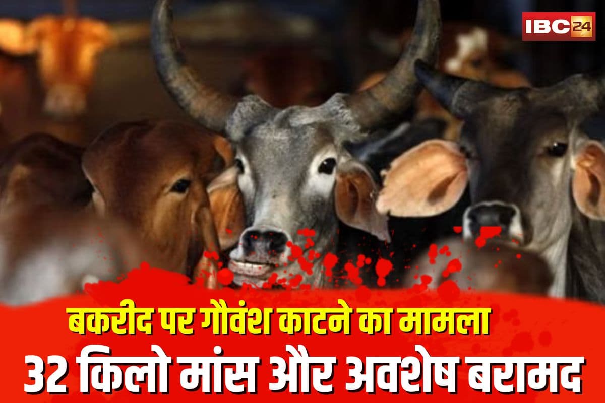 Khargone News: बकरीद पर गौवंश की हत्या, 7 लोग पहुंचे सलाखों के पीछे, 32 किलो मांस और अवशेष बरामद