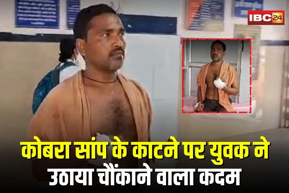 Panna News: कोबरा सांप के काटने पर युवक ने उठाया चौंकाने वाला कदम, बहादुरी देखकर हर कोई हैरान