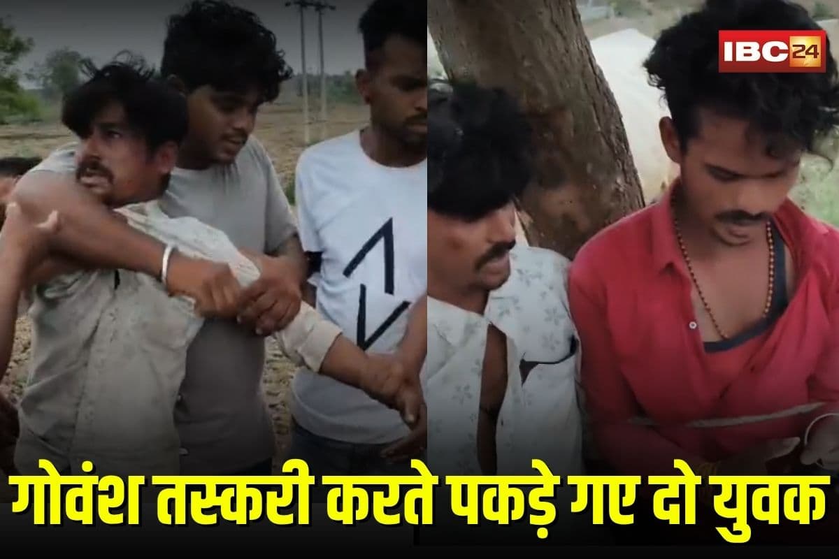 Shajapur Viral Video: गोवंश तस्करी करते पकड़े गए दो युवक, गोरक्षकों ने की पिटाई, पेड़ से बांधकर सौंपा पुलिस को, वीडियो हुआ वायरल