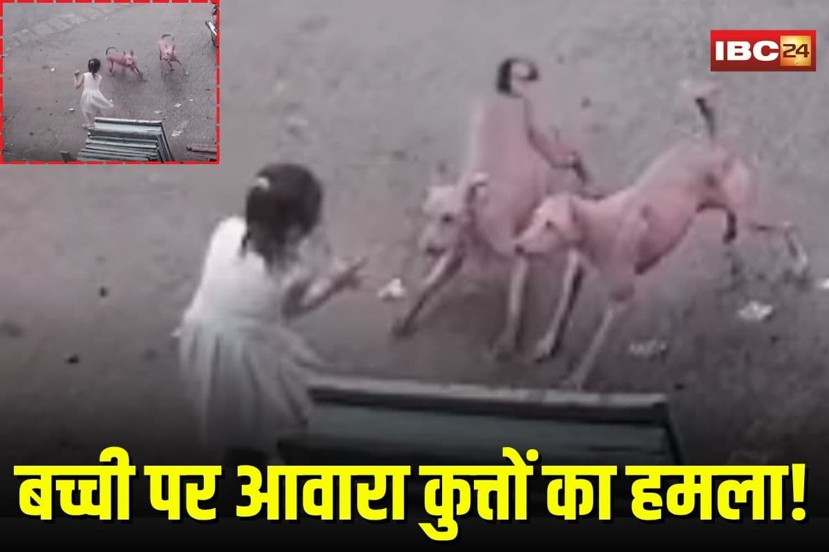 Street Dog Attack: आवारा कुत्तों ने किया 6 साल की बच्ची पर जानलेवा हमला, फिर जो हुआ देखकर कांप जाएगा रूह , CCTV में कैद हुई घटना
