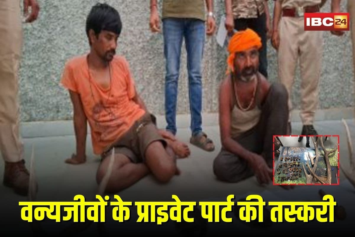 Wildlife Trafficking: वन्यजीवों के प्राइवेट पार्ट की तस्करी का पर्दाफाश, दो आरोपी गिरफ्तार, मॉनिटर लिजर्ड से बारहसिंगा तक के अंग बरामद