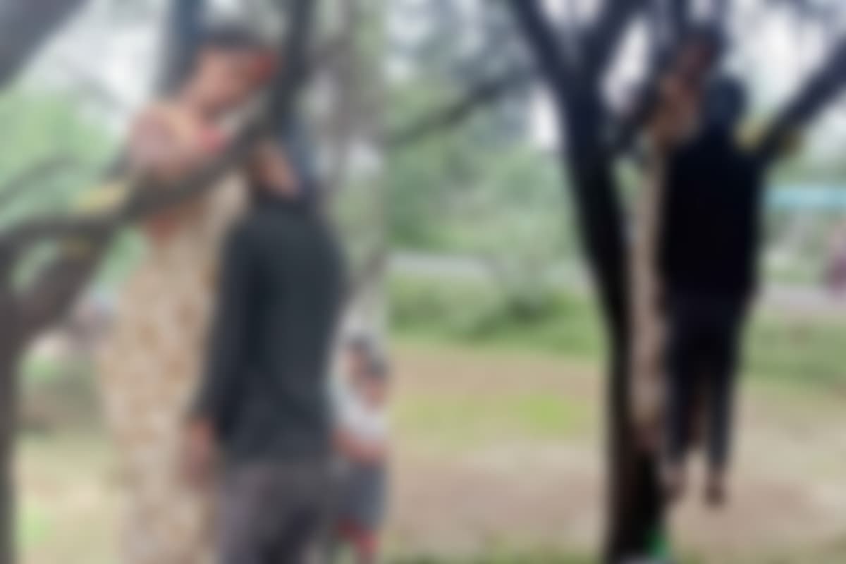 Janjgir Double Suicide: जिले में पेड़ से लटकती मिली महिला और युवक की लाश, इलाके में फैली सनसनी, जांच में जुटी पुलिस