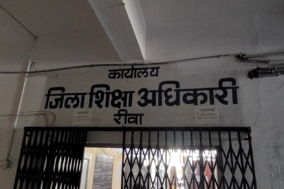 Rewa News: चारा घोटाला से भी बड़ा घोटाला, एक ही परिवार के दो लोगों को मिली अनुकंपा नियुक्ति, घोटाले ने खोली भ्रष्टाचार की परतें