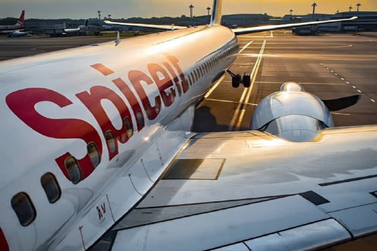 Spicejet Share: तीन गुना मुनाफा! फिर भी स्पाइसजेट का शेयर धड़ाम से गिरा, क्या है वजह?