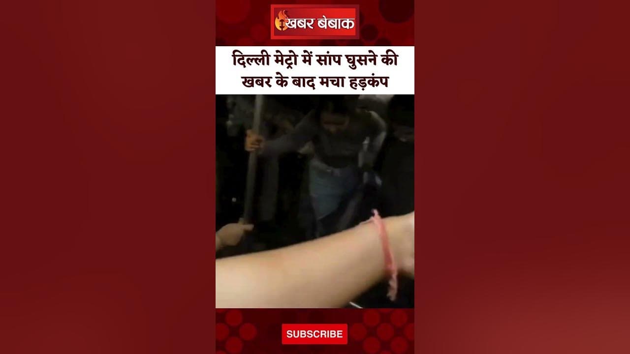 Delhi Metro में सांप निकलने की खबर के बाद मचा हड़कंप | Viral हुआ Video | Khabar Bebak