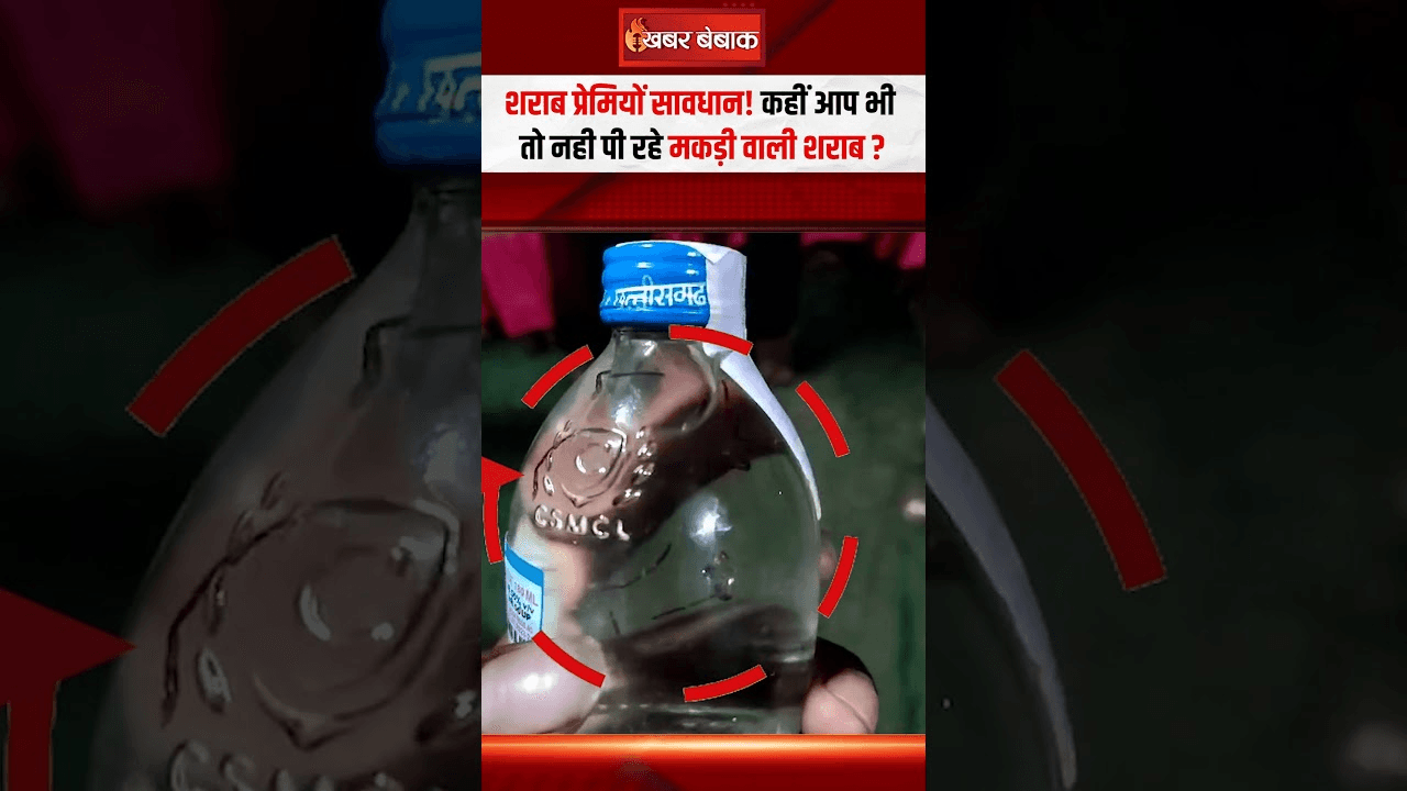 CG Liquor News: शराब प्रेमियों सावधान! कहीं आप भी तो नही पी रहे मकड़ी वाली शराब?