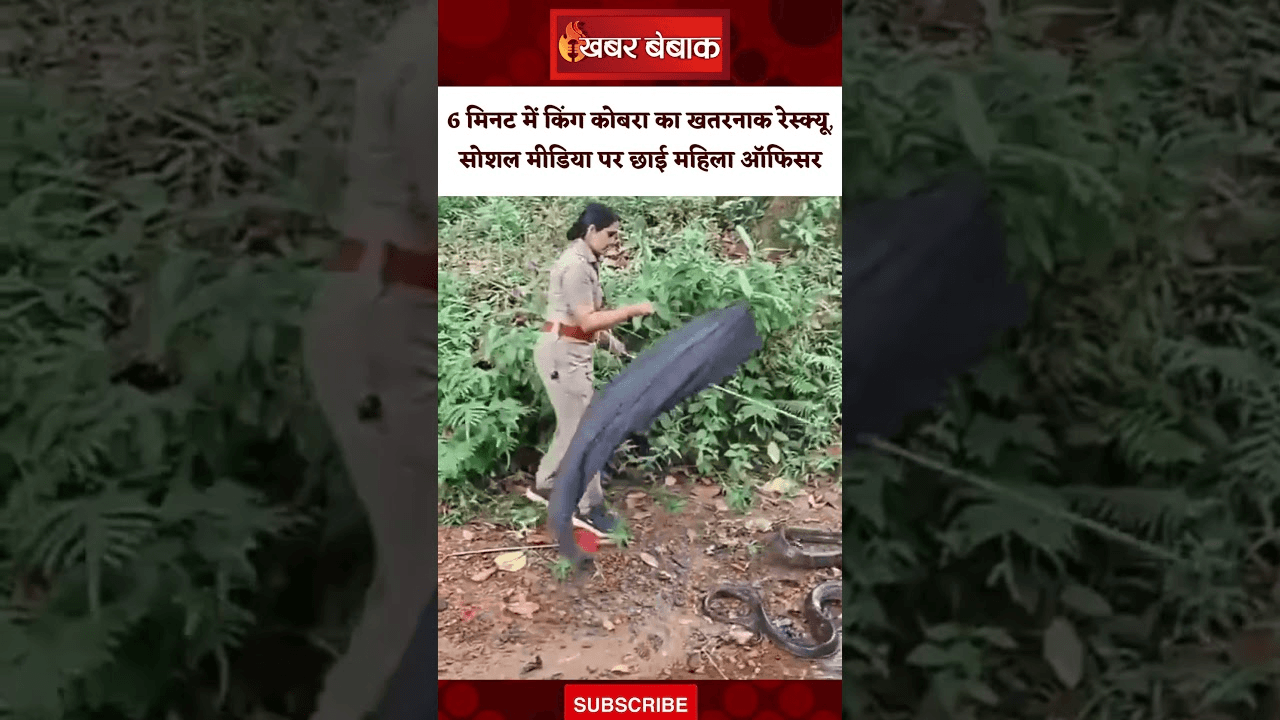 6 मिनट में किंग कोबरा का खतरनाक रेस्क्यू, सोशल मीडिया पर छाई महिला ऑफिसर