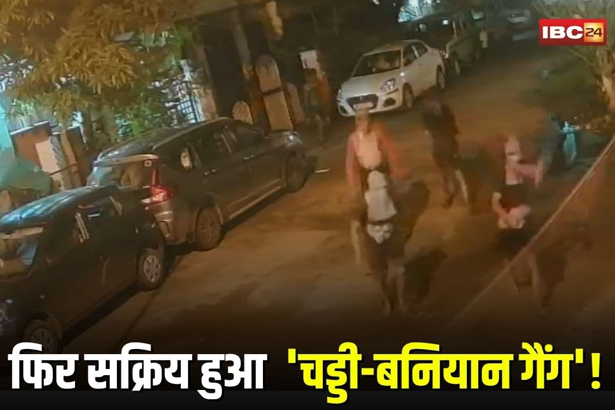 Bhopal Crime News: राजधानी में फिर सक्रिय हुआ ‘चड्डी-बनियान गैंग’! शहर में कॉलोनियों में चोरी की वारदात, नकाबपोश चोरों की घुसपैठ CCTV में कैद