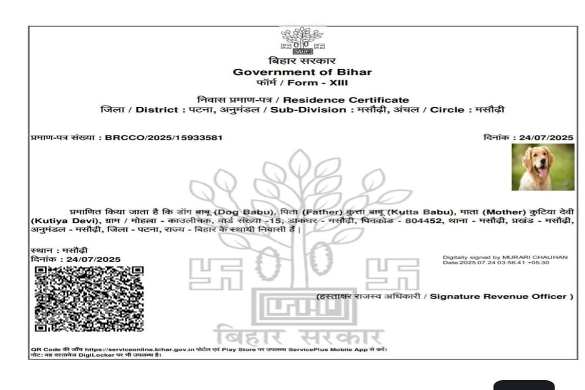 Bihar News: “डॉग बाबू, पुत्र कुत्ता बाबू” के नाम से जारी हुआ निवास प्रमाणपत्र, सोशल मीडिया पर वायरल होते ही मचा हड़कंप, लोग बोले- यही है बिहार