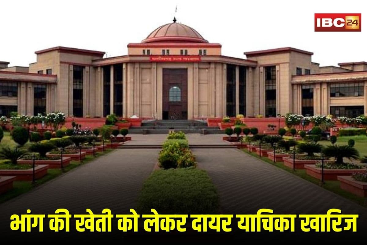 Bilaspur High Court News: छत्तीसगढ़ में भांग की खेती को लेकर दायर याचिका खारिज, हाईकोर्ट ने कहा– जनहित की आड़ में नहीं चलेगा निजी एजेंडा