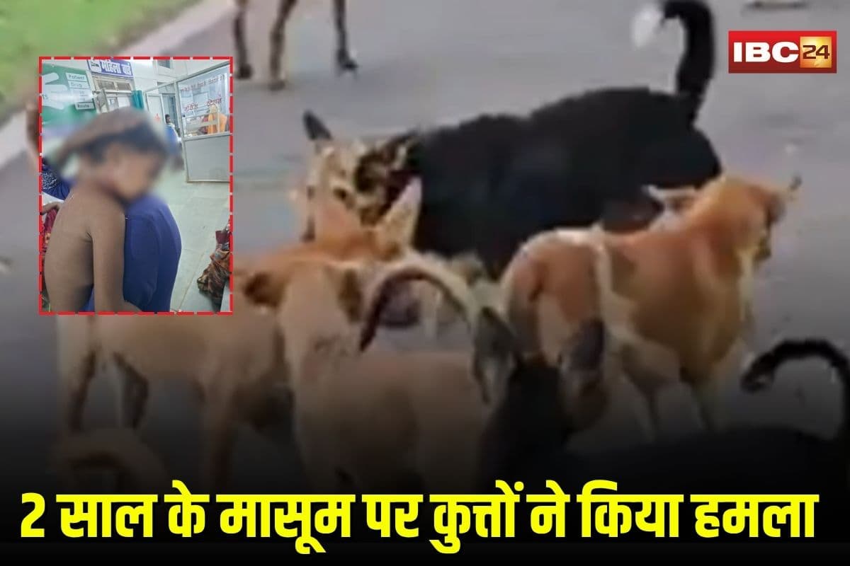Dog Attack on Child: आवारा कुत्तों का आतंक! 6 बच्चों समेत 8 लोगों पर किया हमला, दहशत में शहरवासी