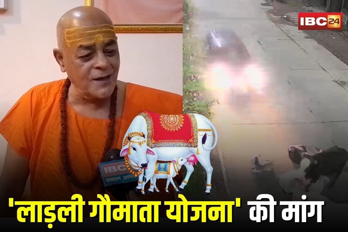 Jabalpur News: सड़क पर गौवंश, सियासत में बवाल! पूर्व गौ बोर्ड चेयरमैन ने उठाई ‘लाड़ली गौमाता योजना’ की मांग, कांग्रेस-भाजपा आमने-सामने