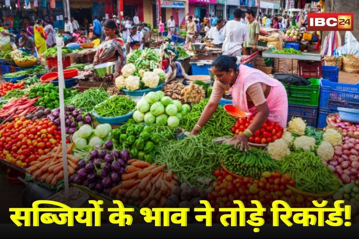 Katni News: सब्जियों के भाव ने तोड़े रिकॉर्ड! बारिश के चलते थोक दाम 3 गुना तक पहुंचे, मंडियों में सप्लाई ठप