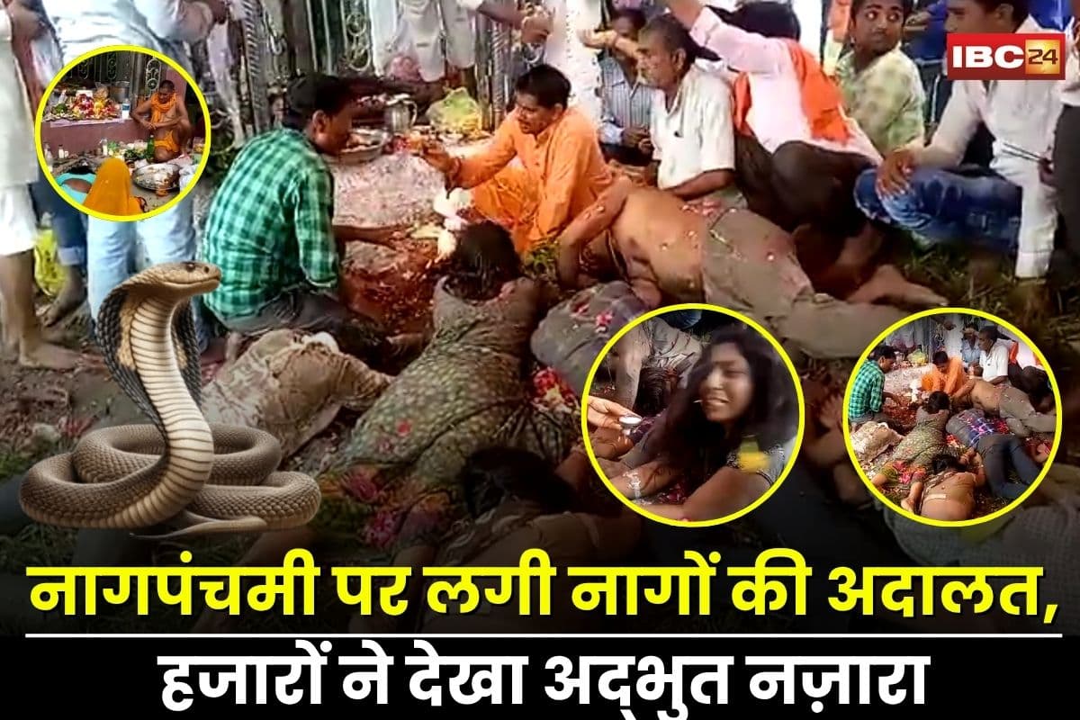 Nag Panchami 2025: न वकील, न गवाह… फिर भी मिलता है न्याय! नागपंचमी पर लगी नागों की अदालत, हजारों ने देखा अद्भुत नज़ारा, जानें क्या है मान्यता