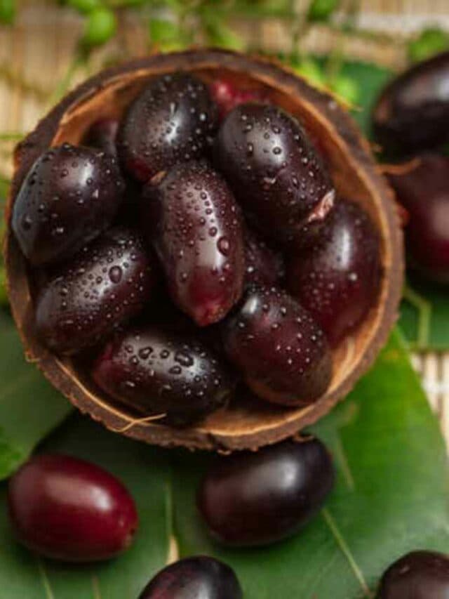 Benefits Of Berries: औषधीय गुणों से भरपूर है जामुन, मिलते हैं कई अनगिनत फायदे