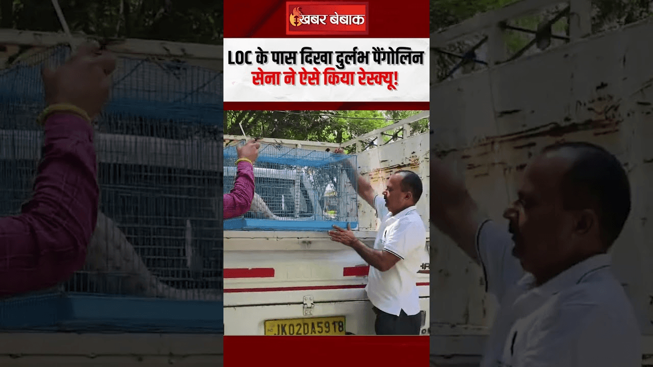 Viral Video: LoC के पास दिखा दुर्लभ Pangolin, सेना ने ऐसे किया रेस्क्यू!