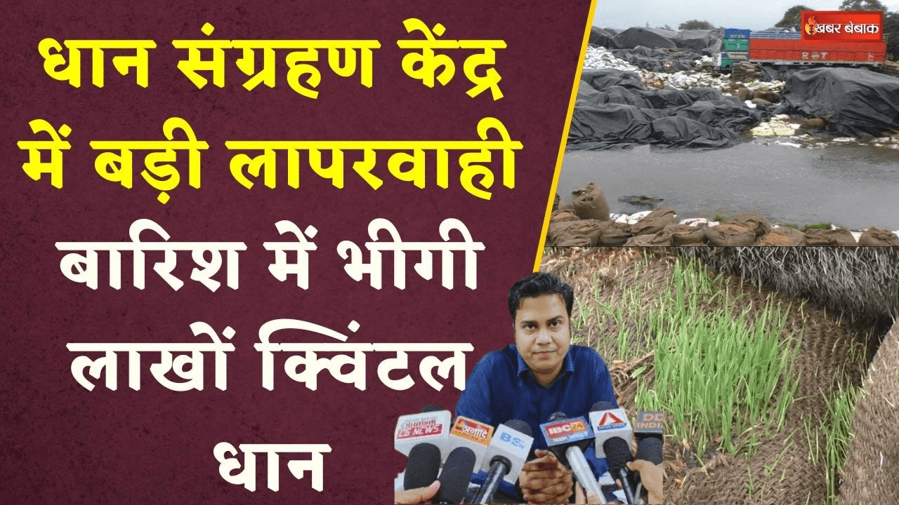 Janjgir: धान संग्रहण केंद्र में बड़ी लापरवाही। बारिश में भीगी लाखों क्विंटल धान