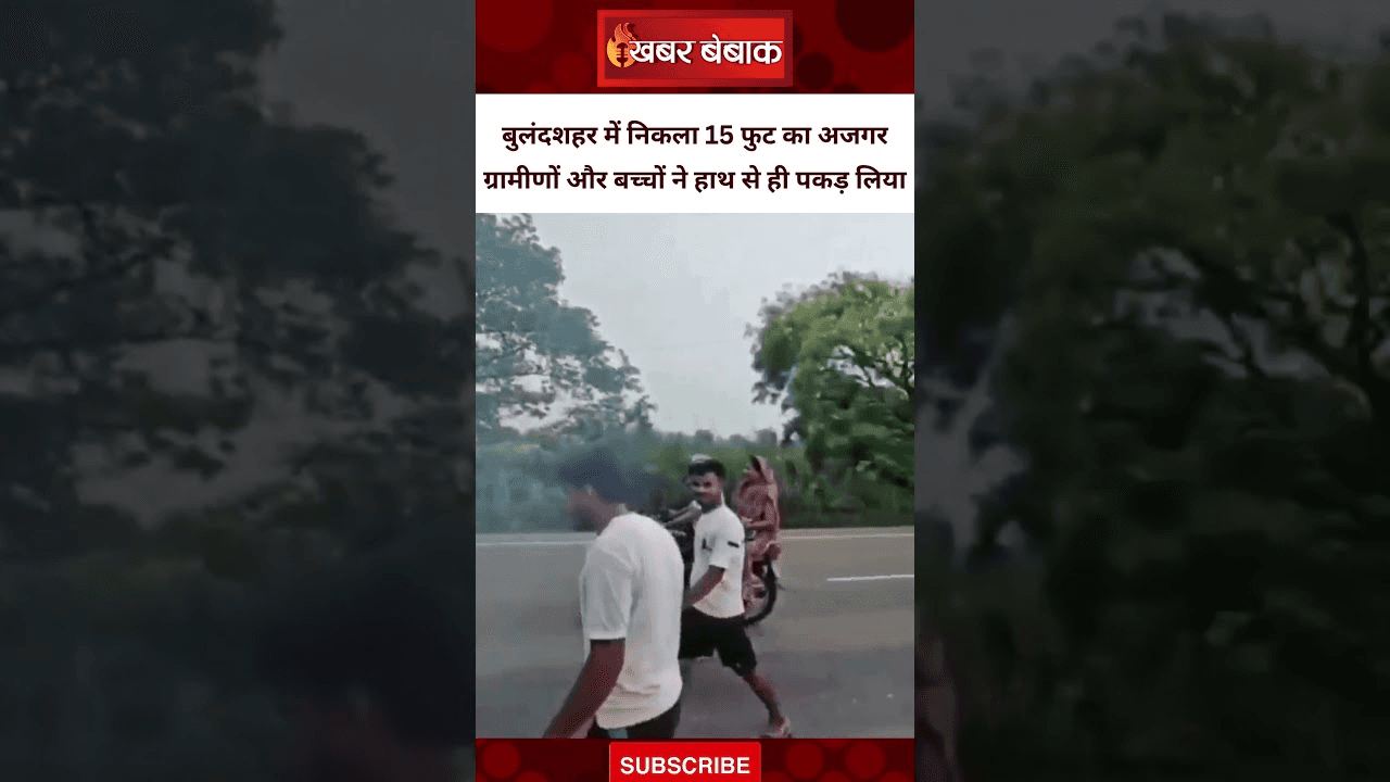 बुलंदशहर में 15 फुट का अजगर निकल आया। ग्रामीणों और बच्चों ने हाथ से ही पकड़ लिया
