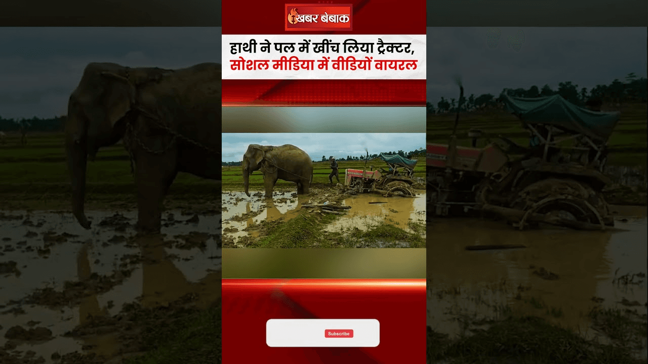 हाथी ने पल में खींच लिया ट्रैक्टर, वीडियों वायरल
